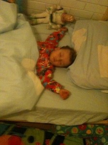 Happy in his own bed! 